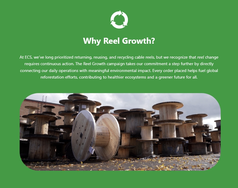 04-Why-Reel-Growth.jpg